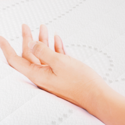 Screenshot 2025 07 01 082734