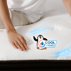 Screenshot 2025 07 01 091020