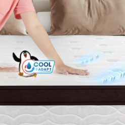 Screenshot 2025 07 01 093113