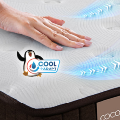 Screenshot 2025 07 01 100952