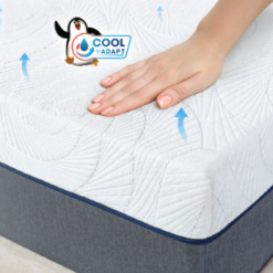 Screenshot 2025 07 01 160534