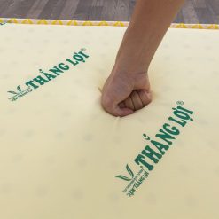 do ben nem cao su non gap 3 thang loi