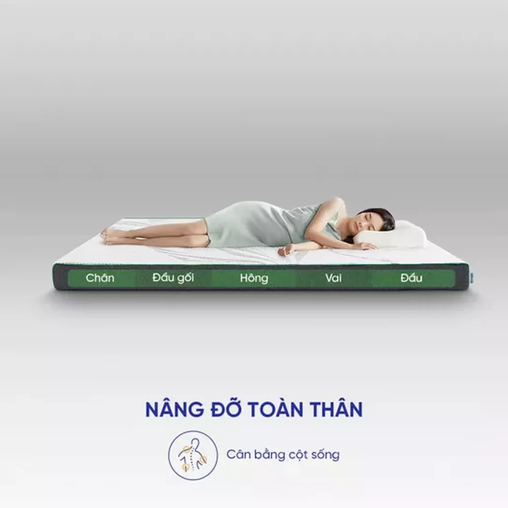 Nệm cao su thiên nhiên Gummi Premium detox giấc ngủ dày 10cm 10