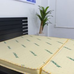 nem cao su non thang loi gap 3 chinh hang