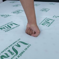 nem cao su thien nhien super win gap 3 co do ben cao