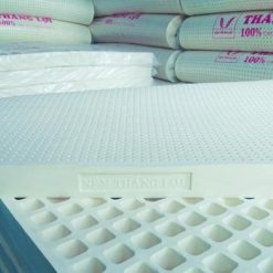 nem cao su thien nhien thang loi co gi noi bat