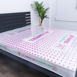 nem cao su wonder foam thang loi 2 5445