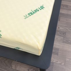 vai thun lanh spandex cao cap